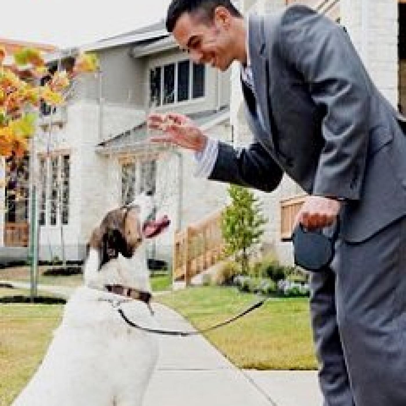 Podcast de Mi Perro Educado