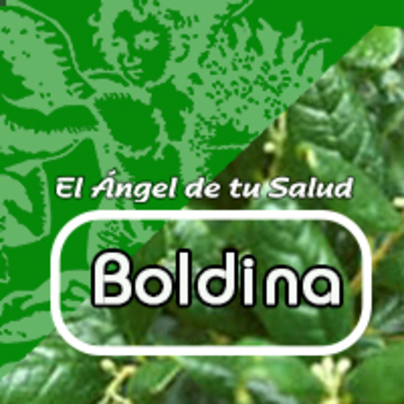 El Angel de tu Salud - BOLDINA *** episode artwork