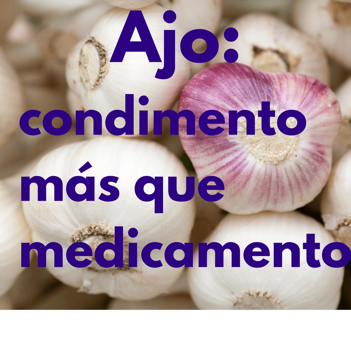 Por Amor a la Gastronomía