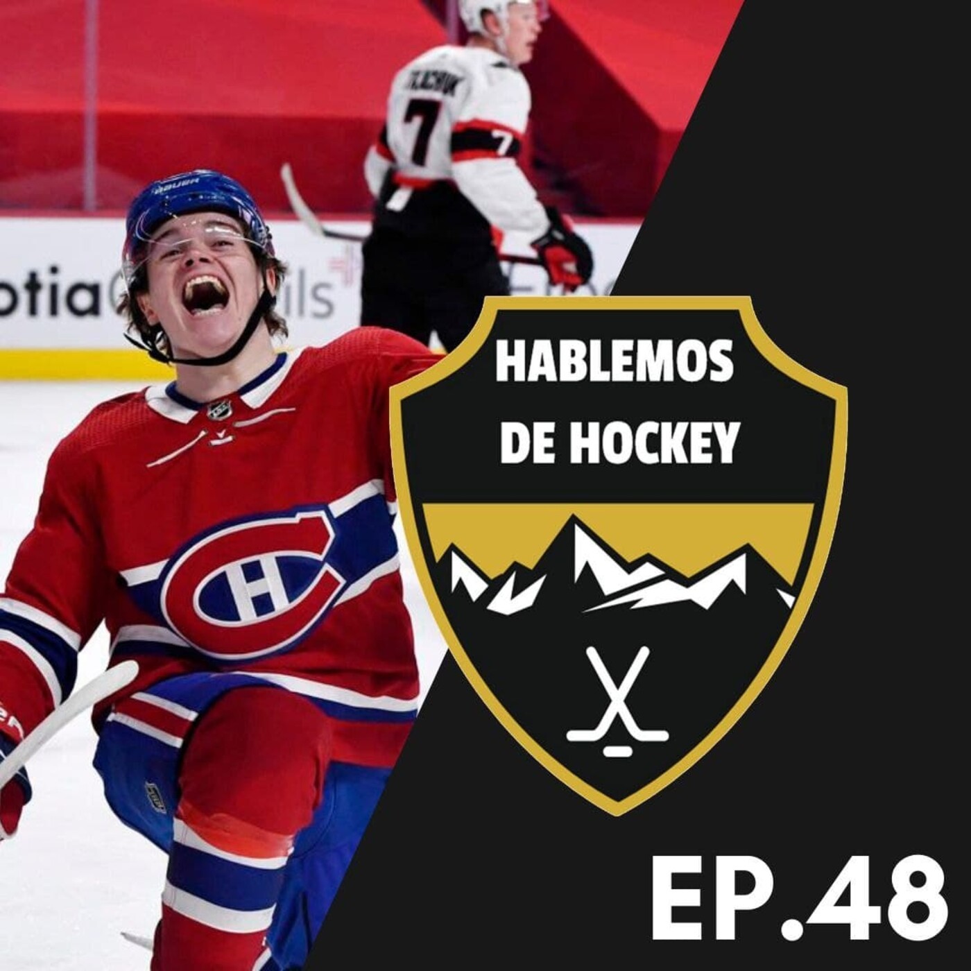 Hablemos de Hockey