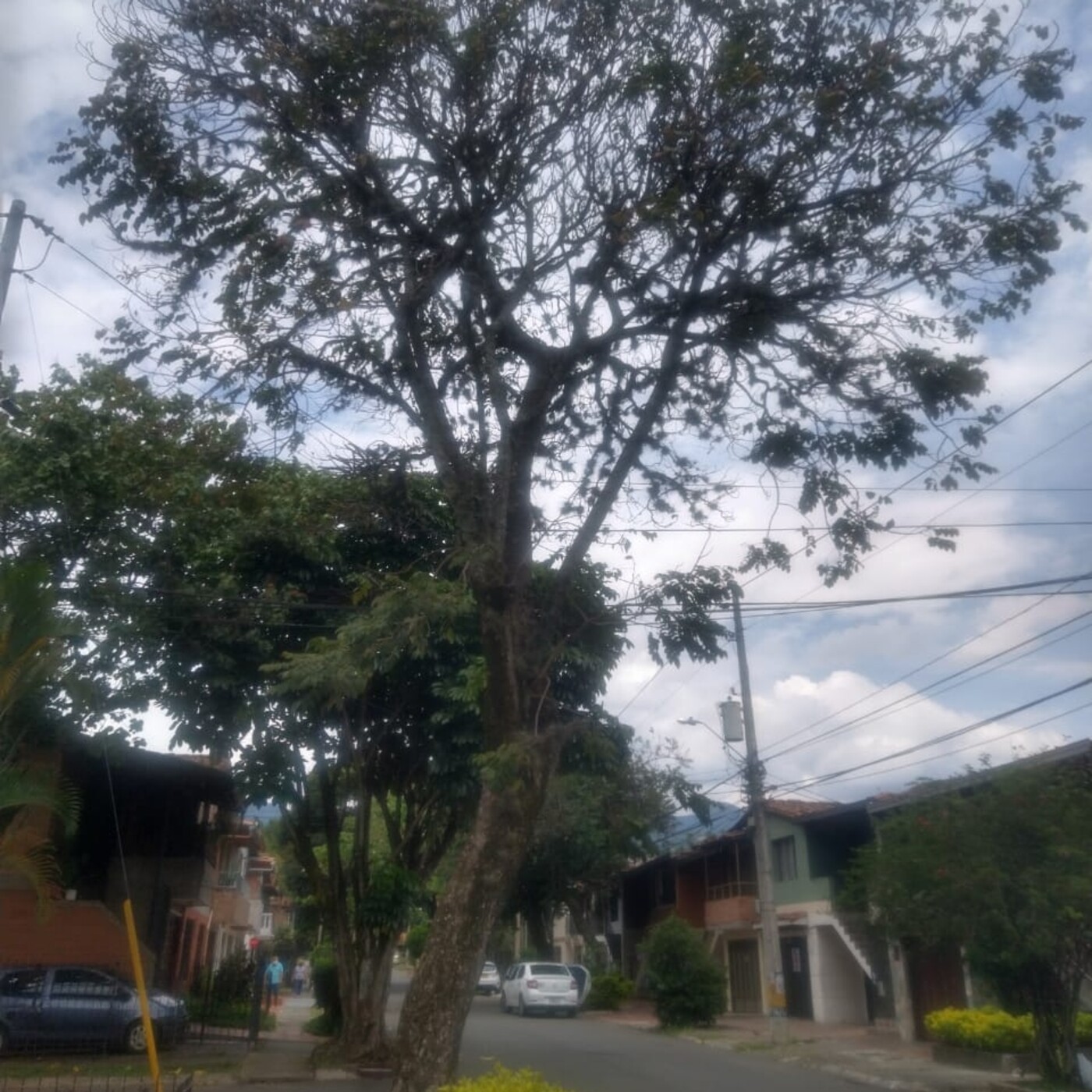 Lecturas de Ciudad