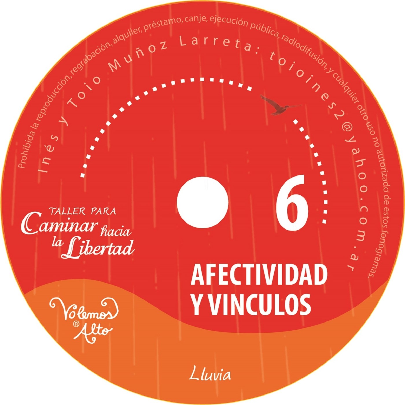 Taller para Caminar hacia la Libertad: 4 Áreas de