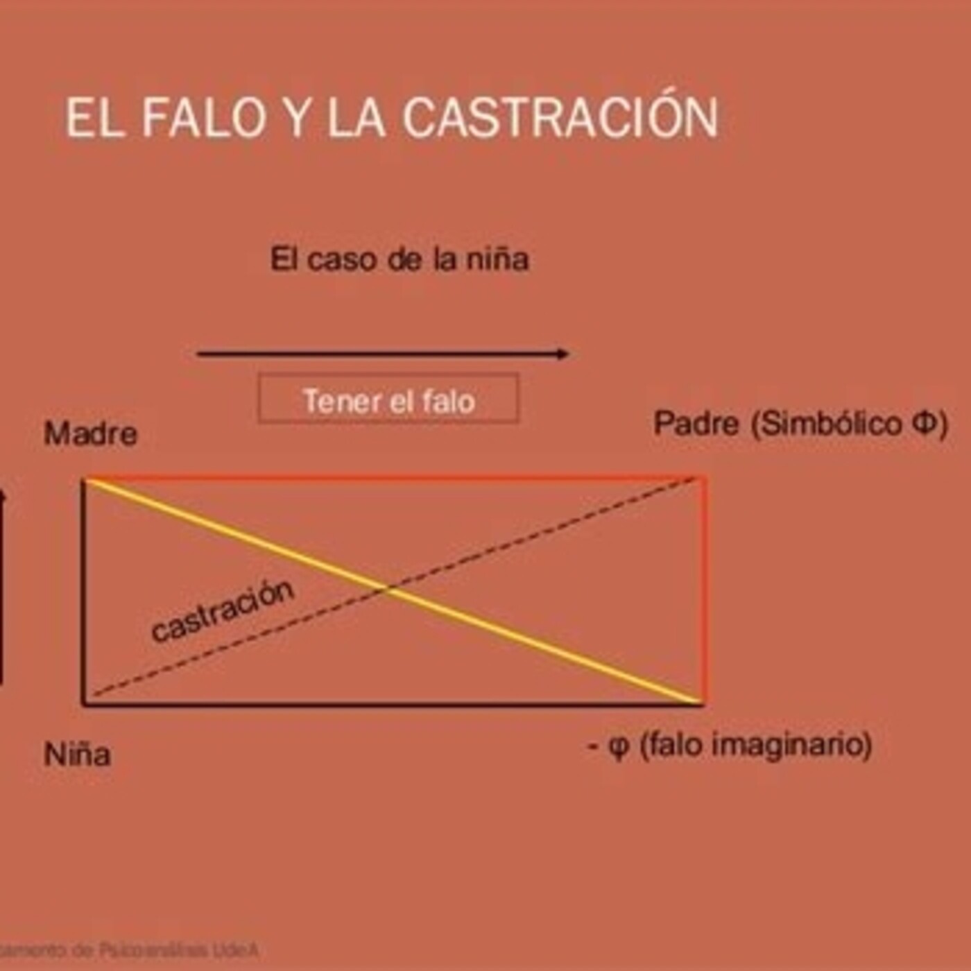 Psicología del desarrollo - Pedregal