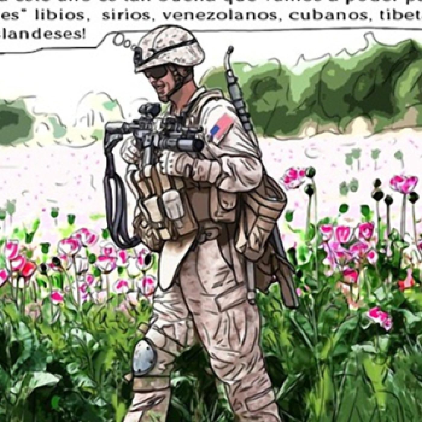 Opinión