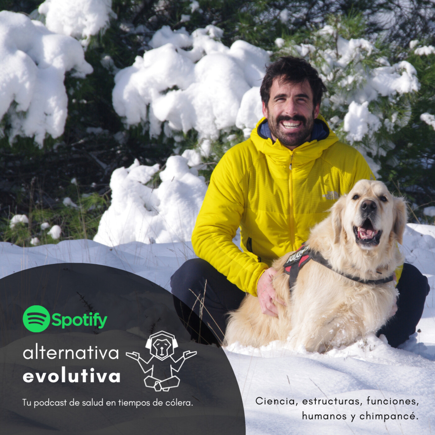 Alternativa Evolutiva