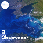 embed image
