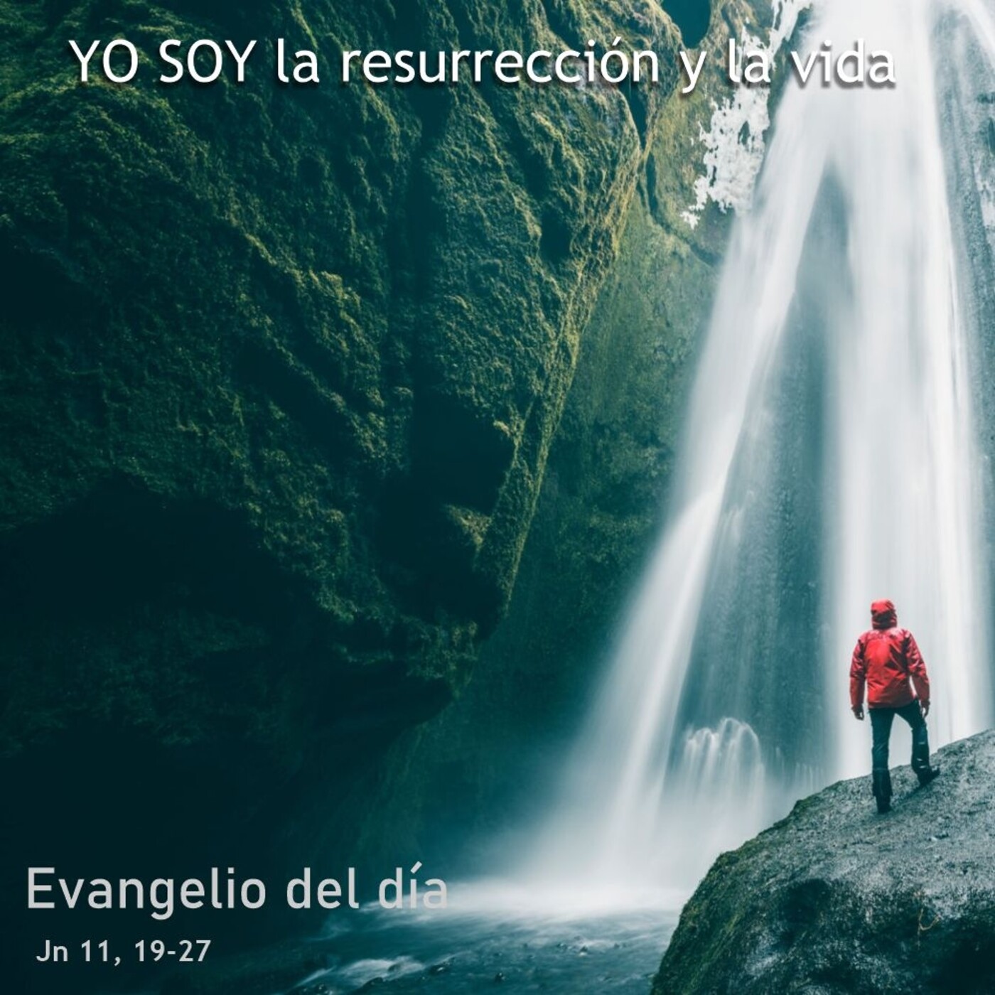 29 de julio de 2020
