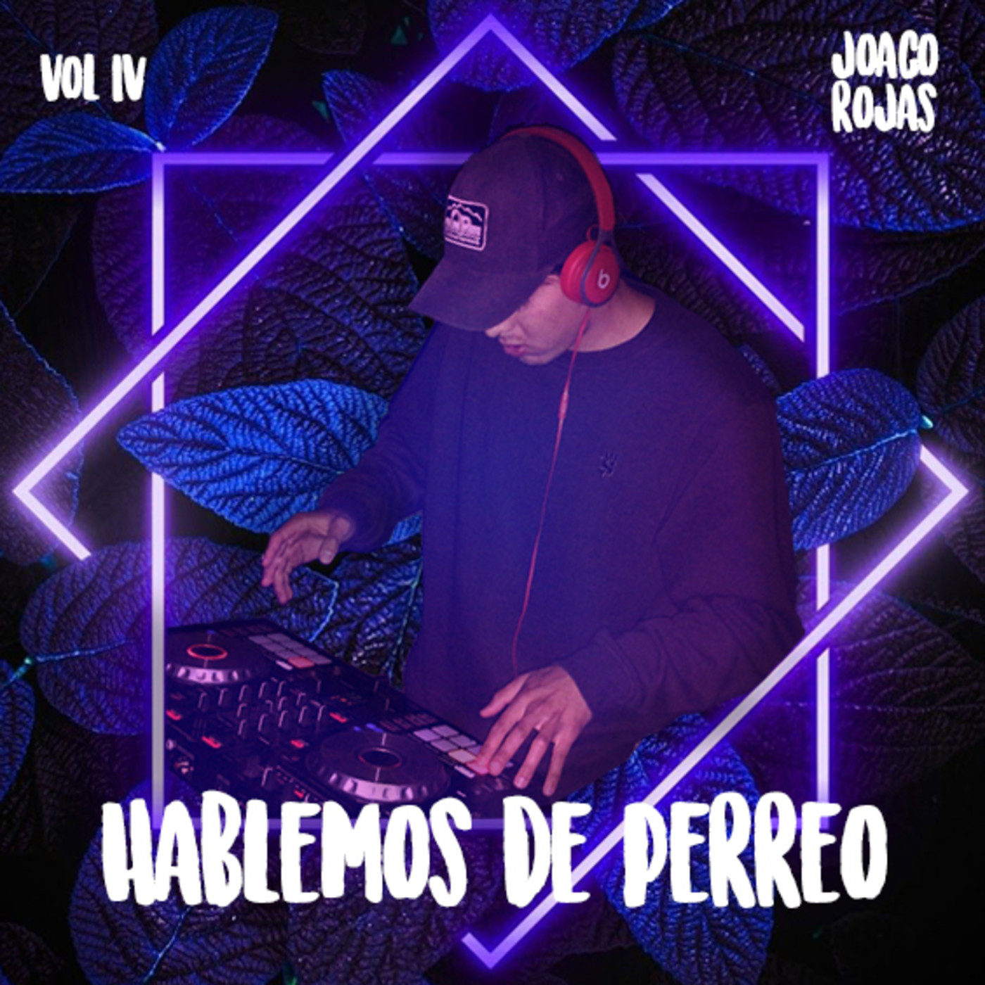Hablemos de Perreo