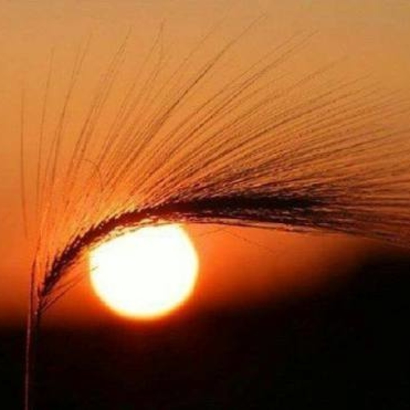 Brahma Kumaris Valencia