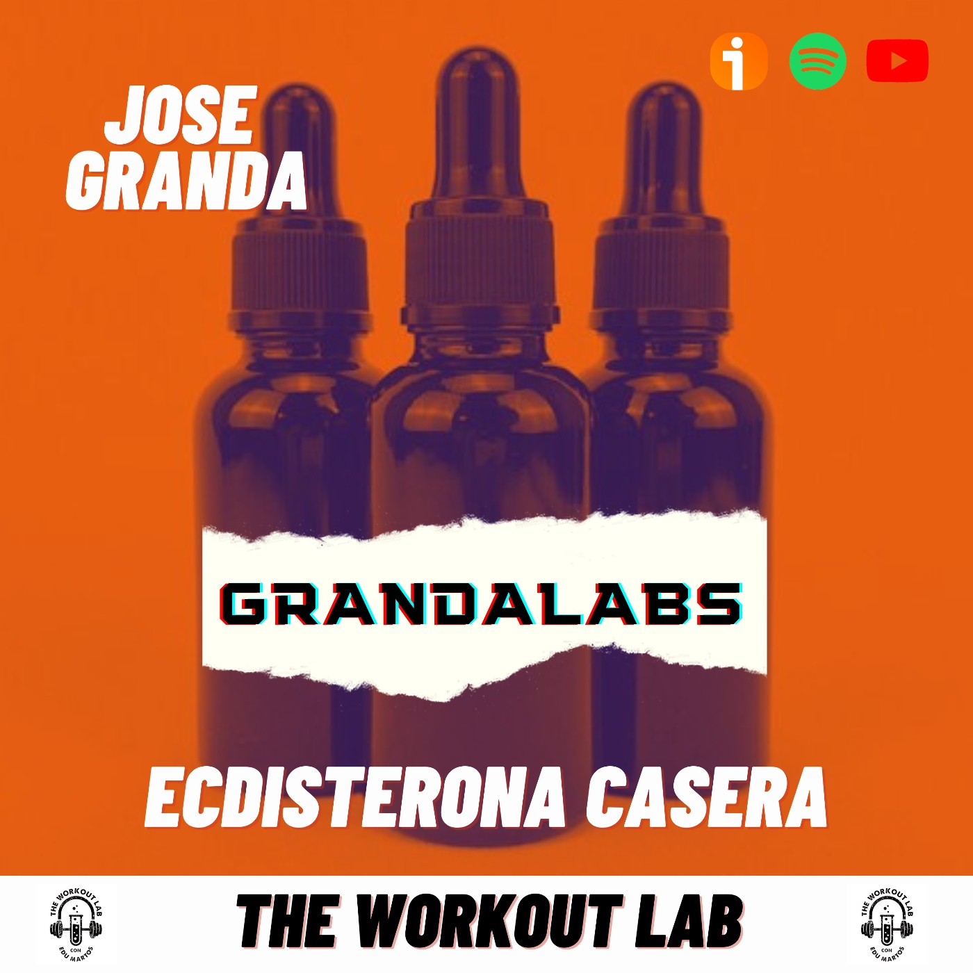 The Workout Lab