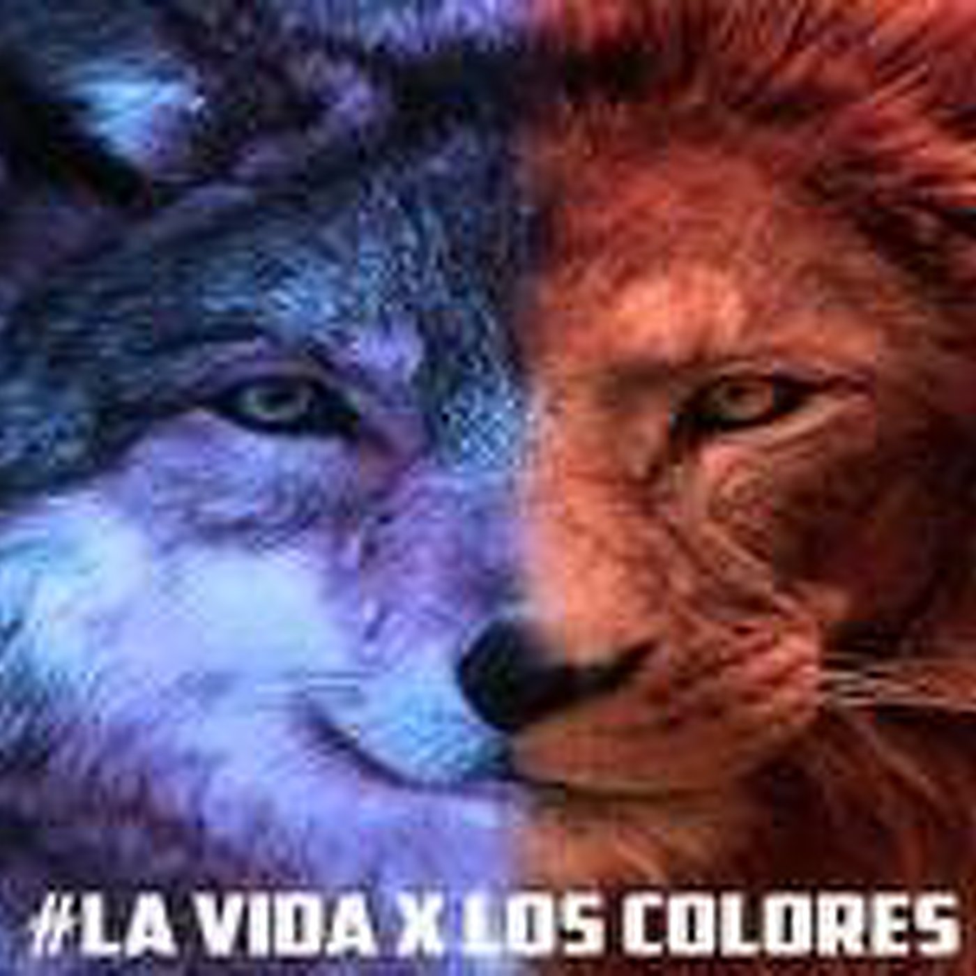 Podcast de La Vida X Los Colores