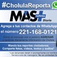 Spot cholula reporta