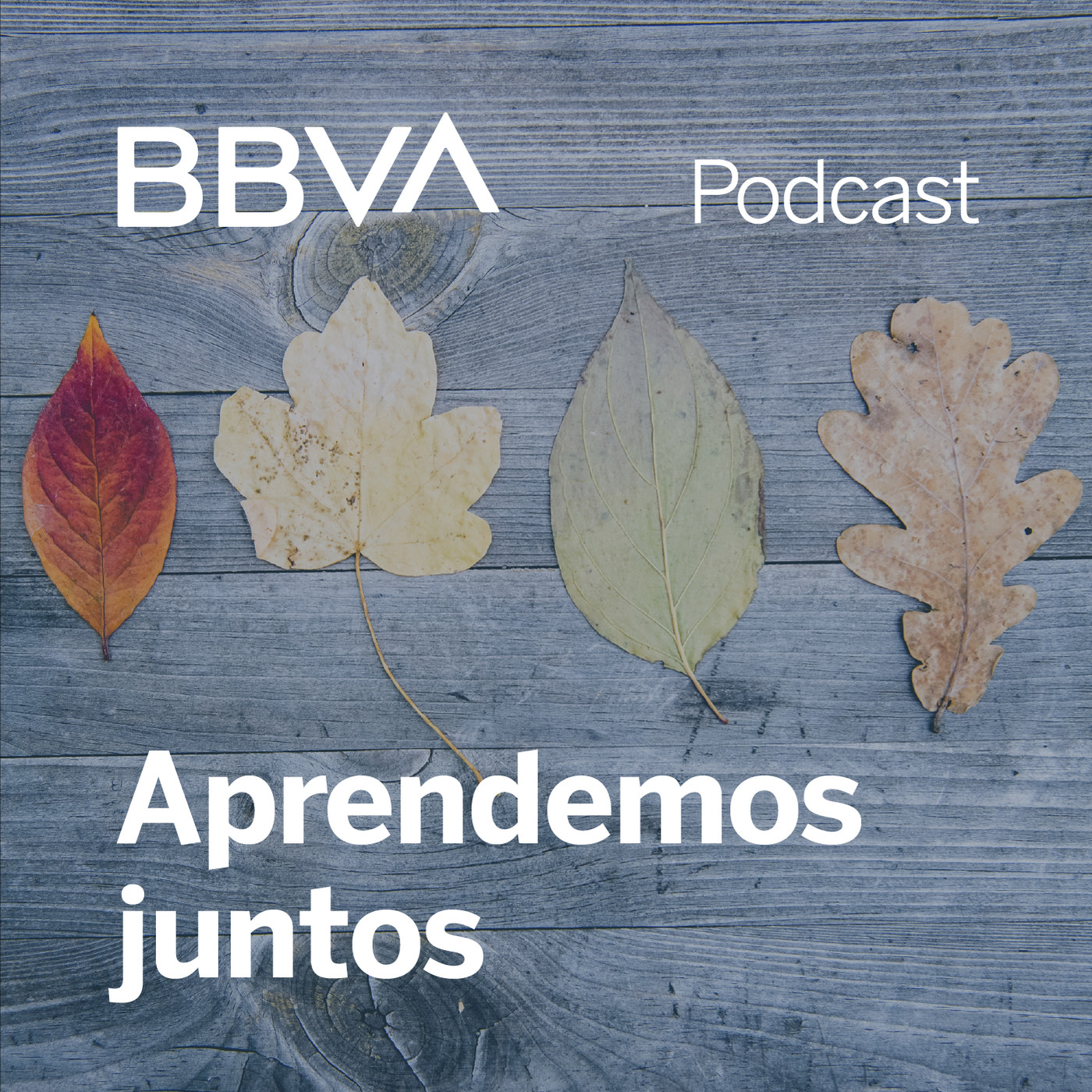 BBVA Blink