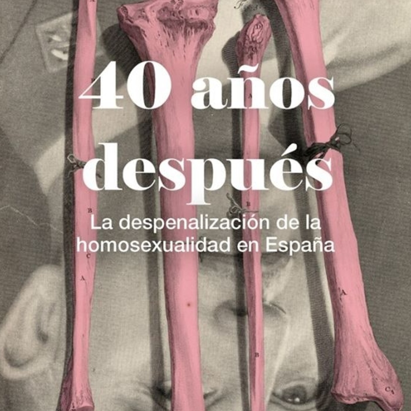 Librería Traficantes de Sueños