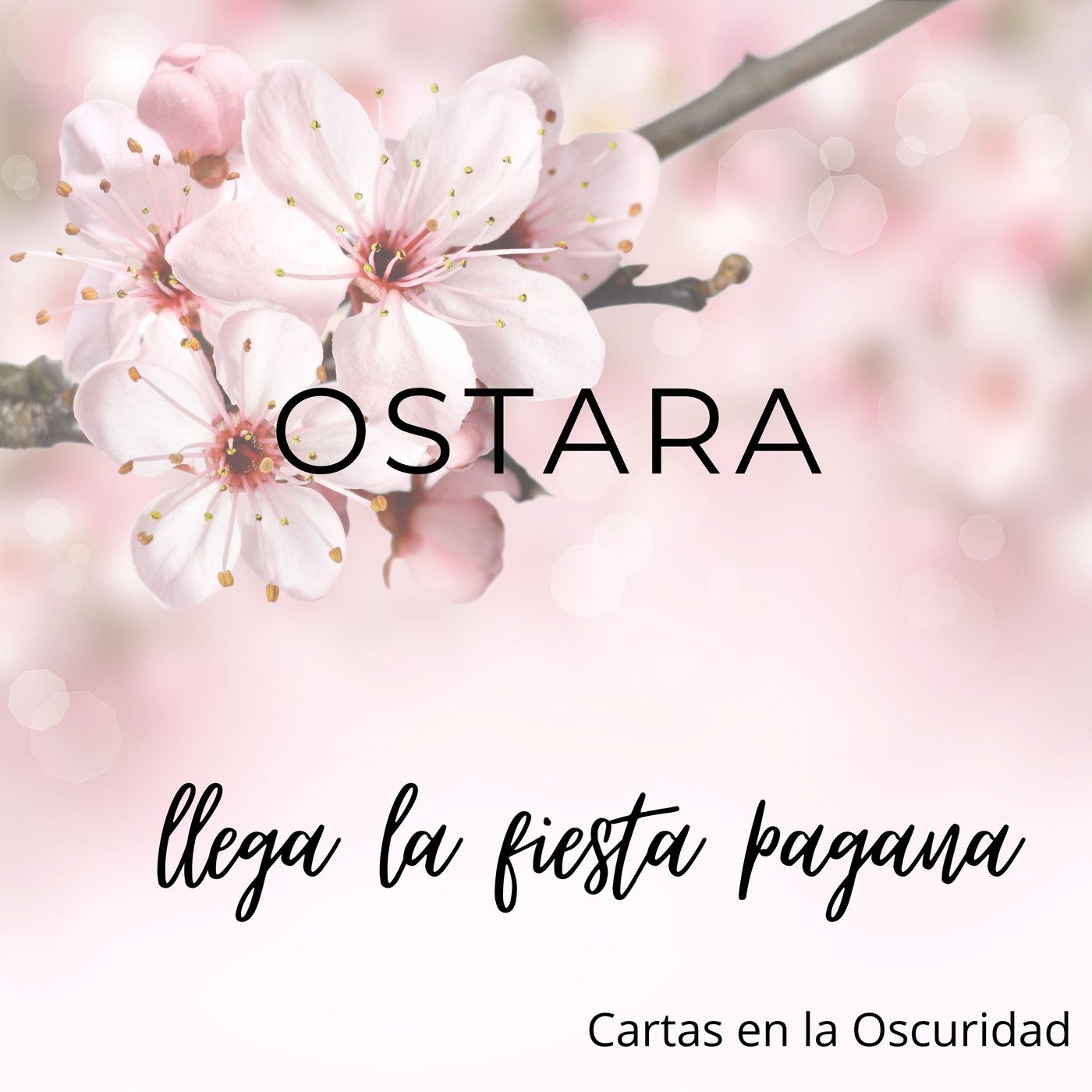 Cartas en la oscuridad