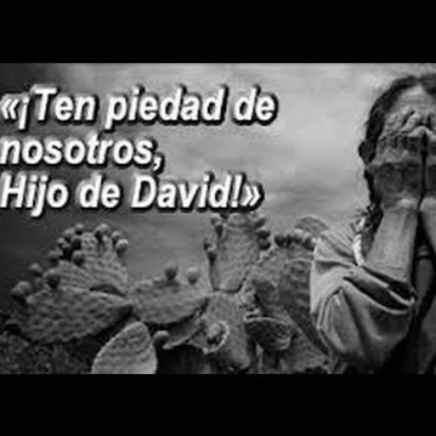 Primer viernes de diciembre Primera semana de Adviento