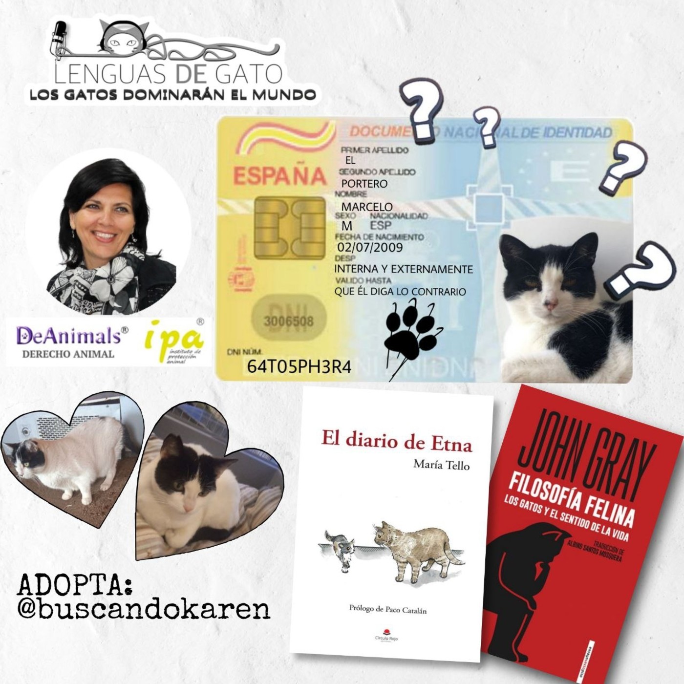 LOS GATOS DOMINARÁN EL MUNDO