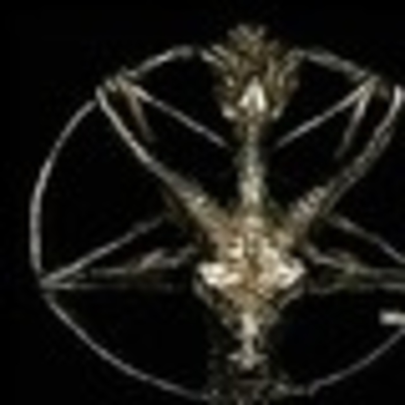 metalgodmalgrat.dl@gmail.com