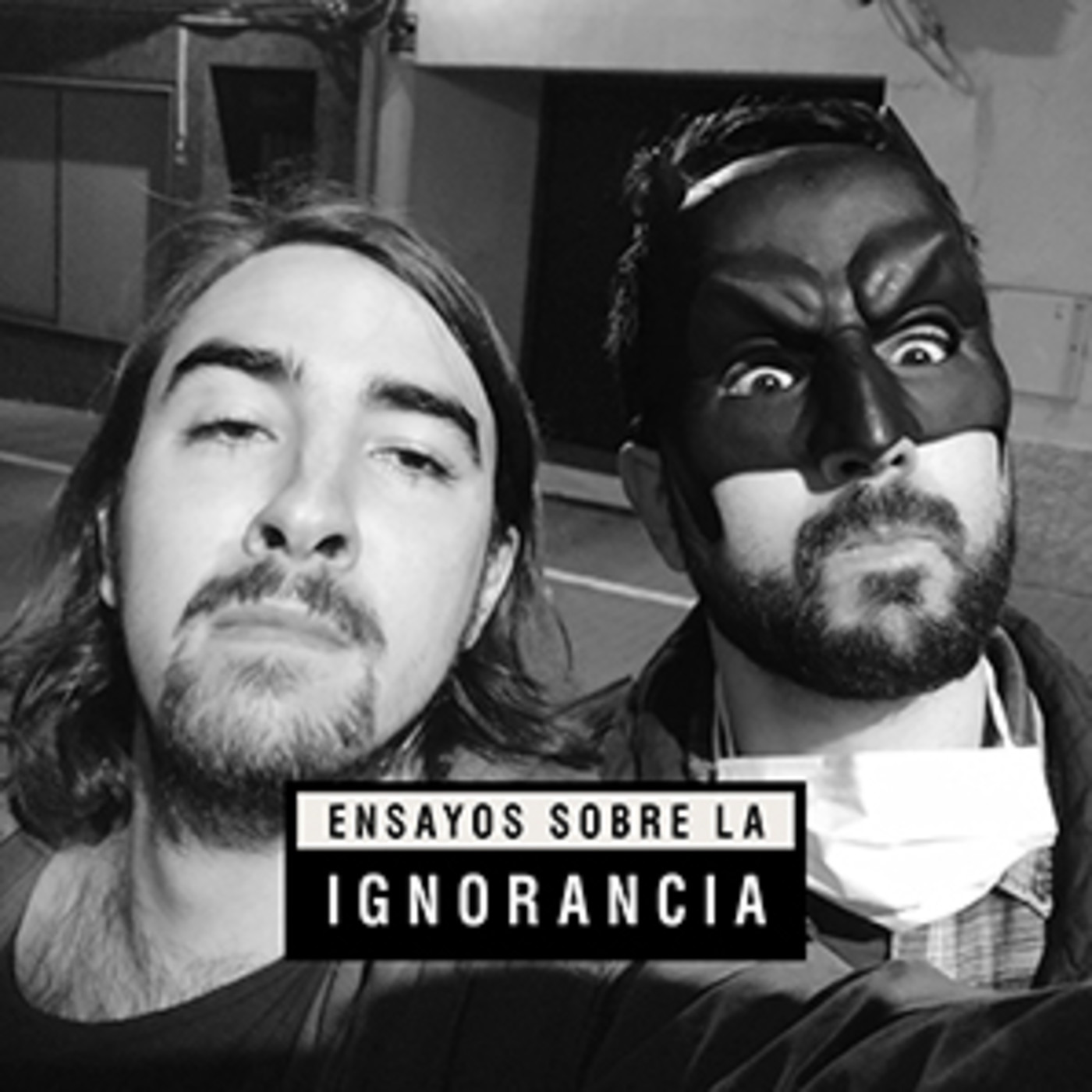 Ensayos sobre la ignorancia