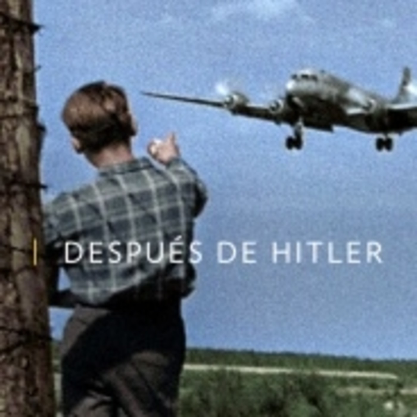 Despues De Hitler Despues De Hitler