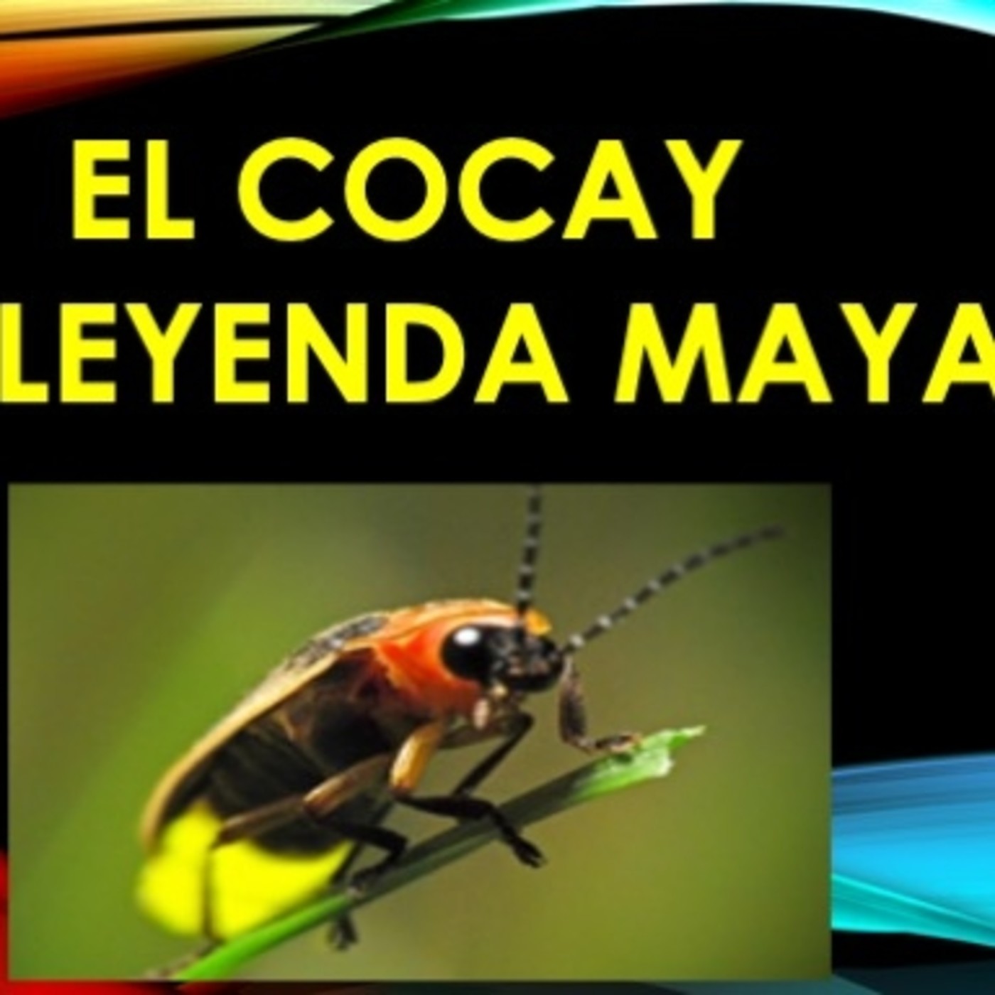 EL HISTORIOGRAFO