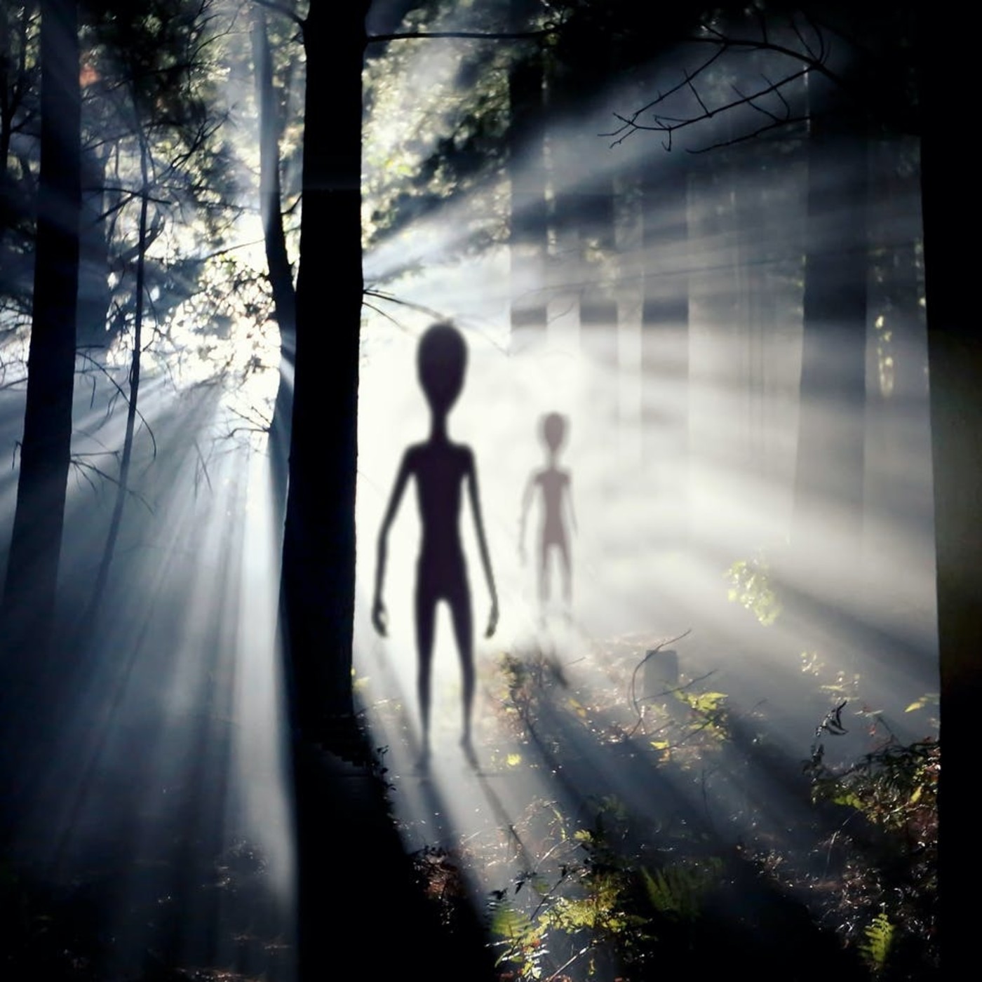 Dinobunker