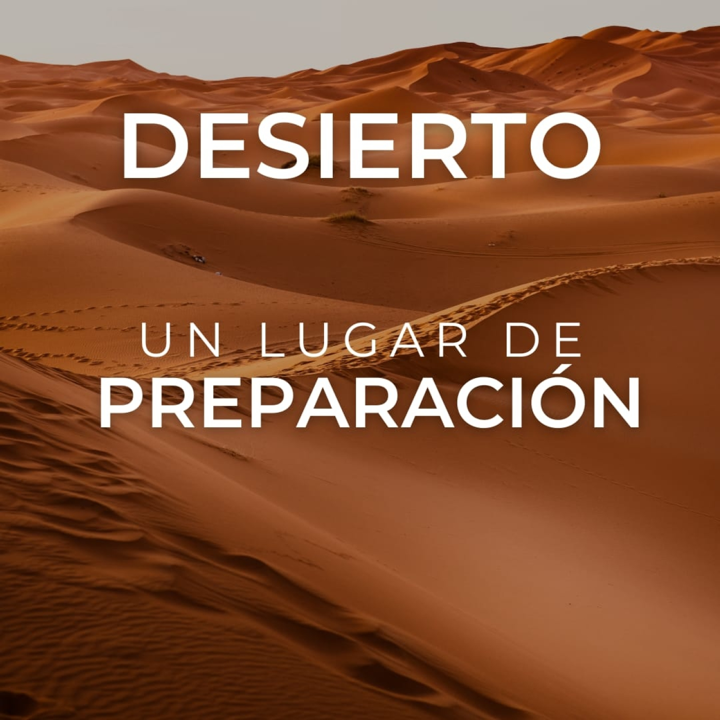 Prédicas