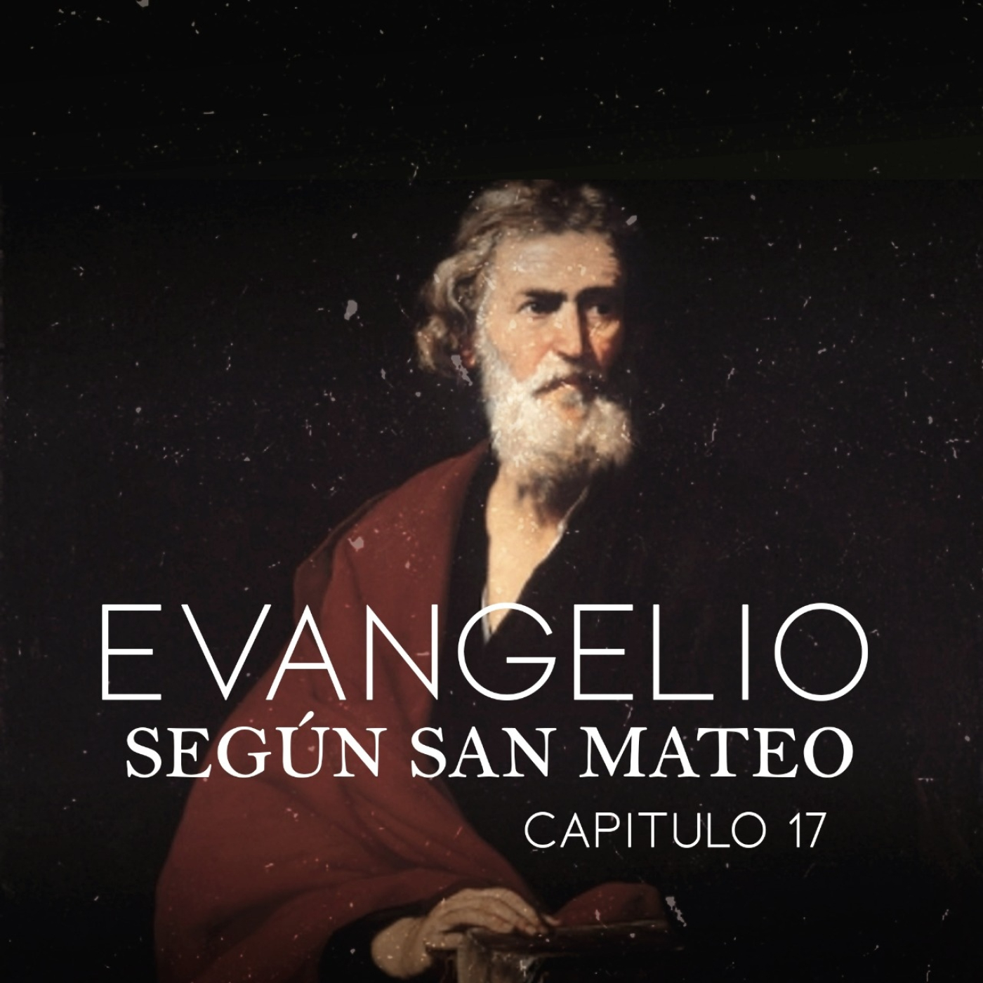 Evangelio según San Mateo capitulo 17 episode artwork