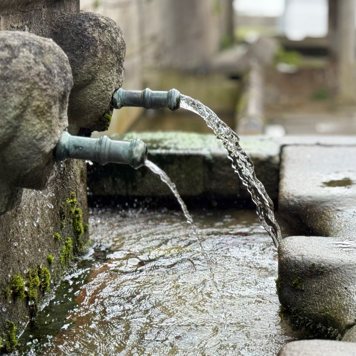 Os cantos do vagalume