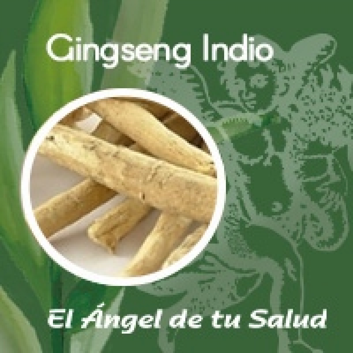 El Ángel de tu Salud - Gingseng Indio** episode artwork
