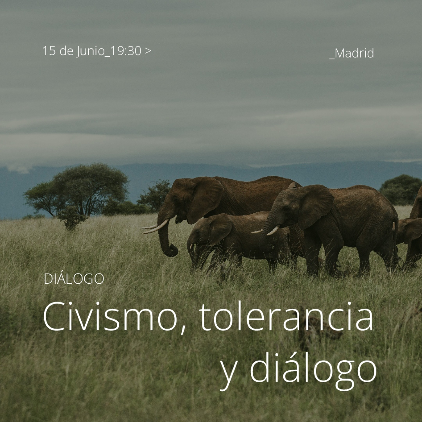 Conferencias
