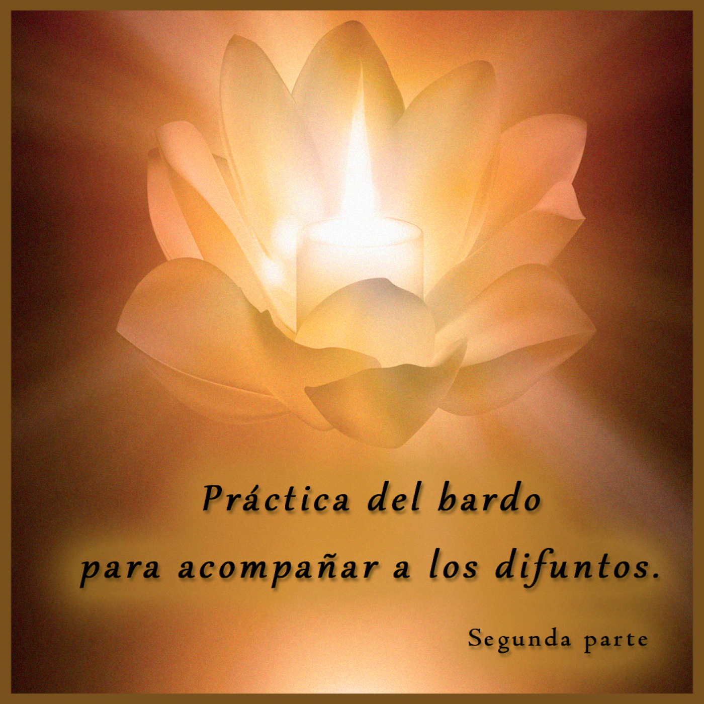 Meditación y Reflexión con Pedro Valencia