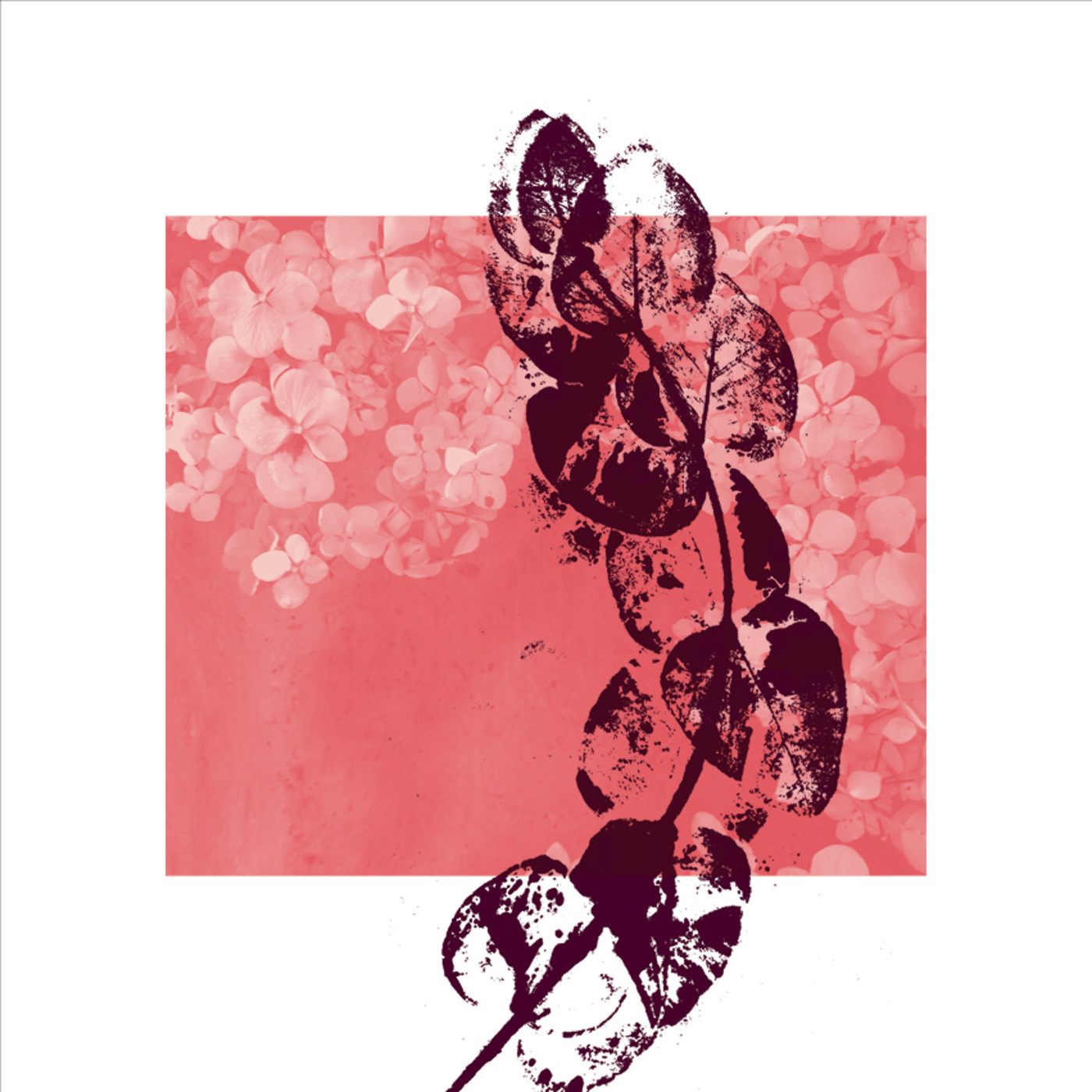 Las flores del tiempo