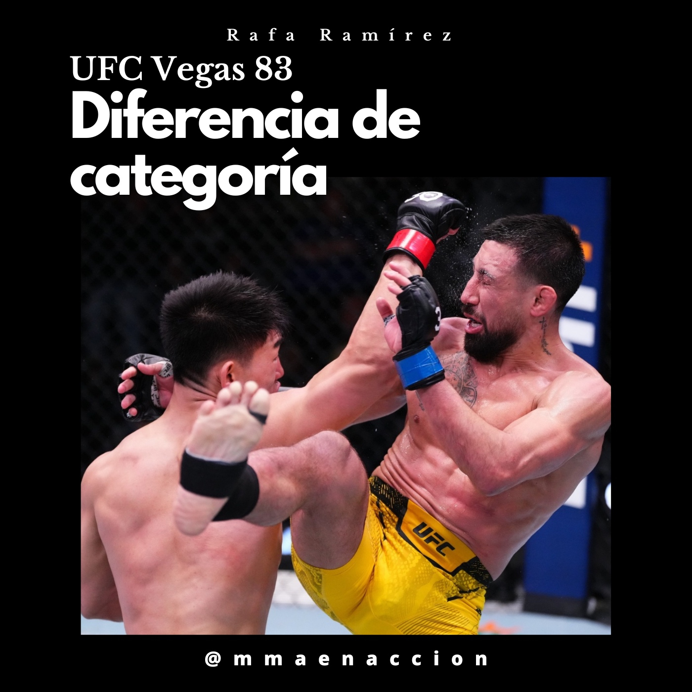 MMA en acción