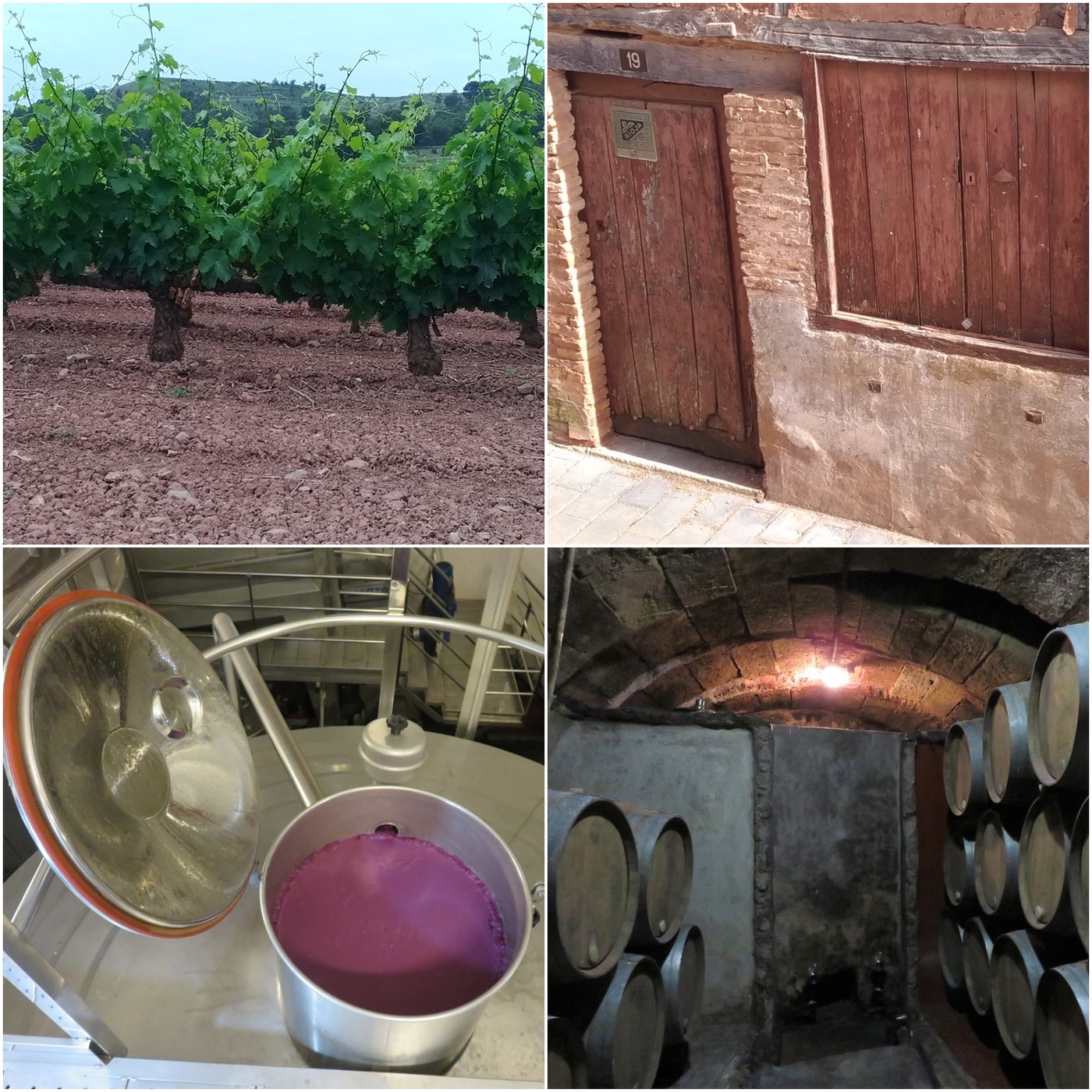 El Viajero Accidental 4x02 - Viajando con el vino a La Rioja episode artwork