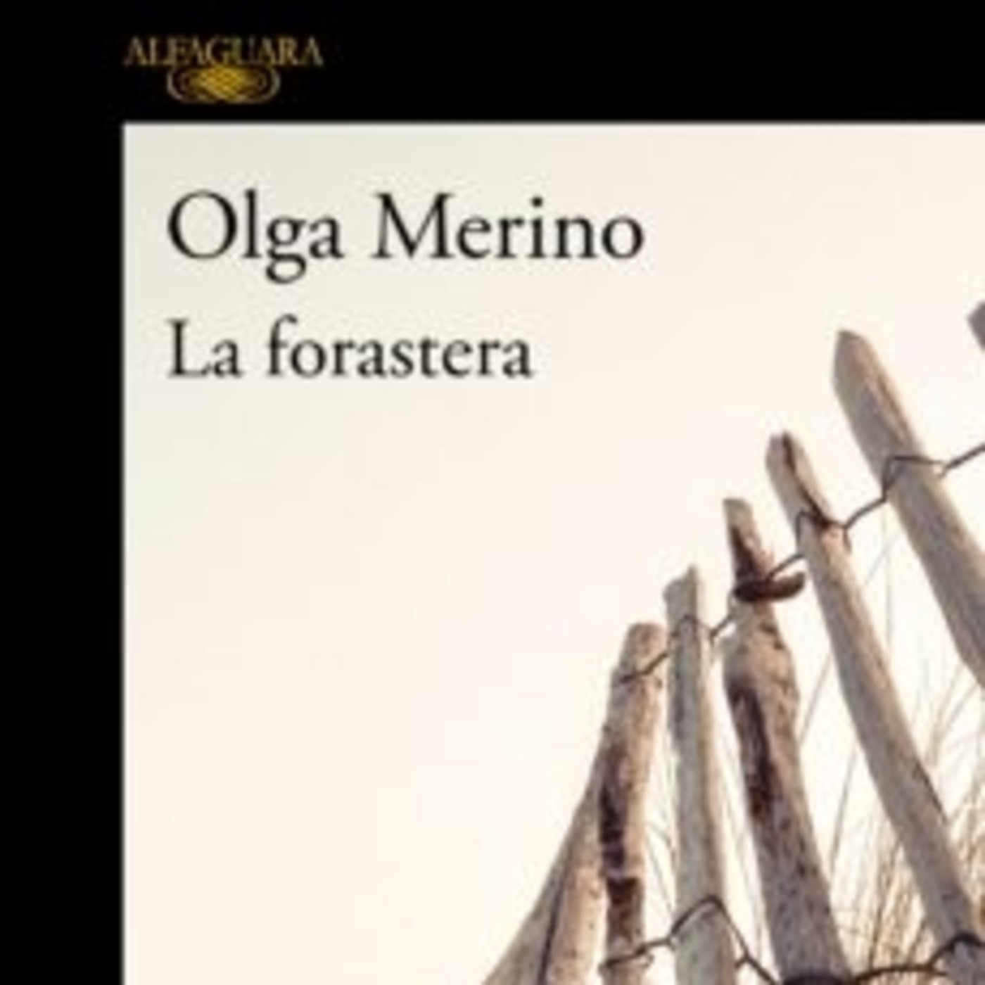 Libros por doquier