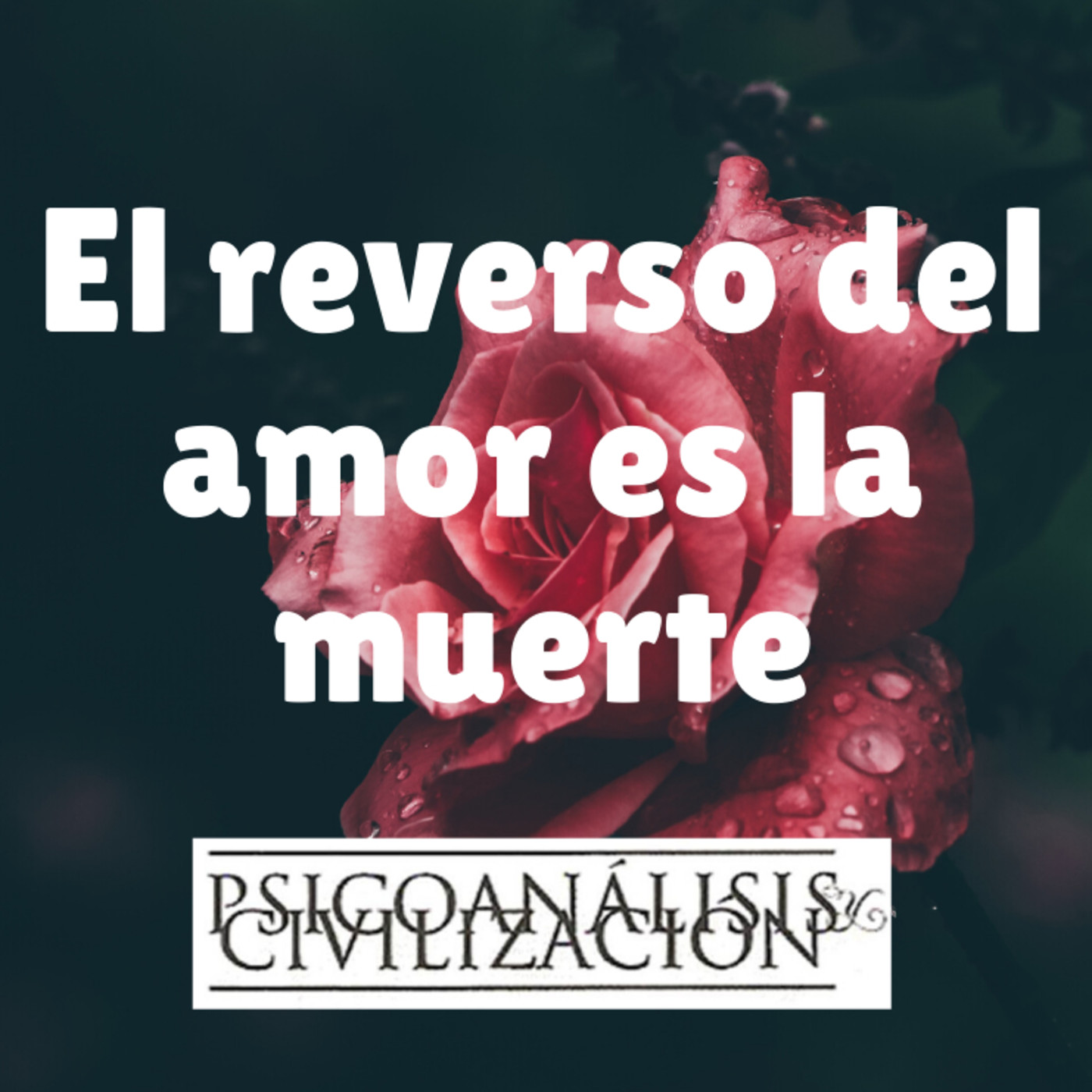 Psicoanálisis y Civilización