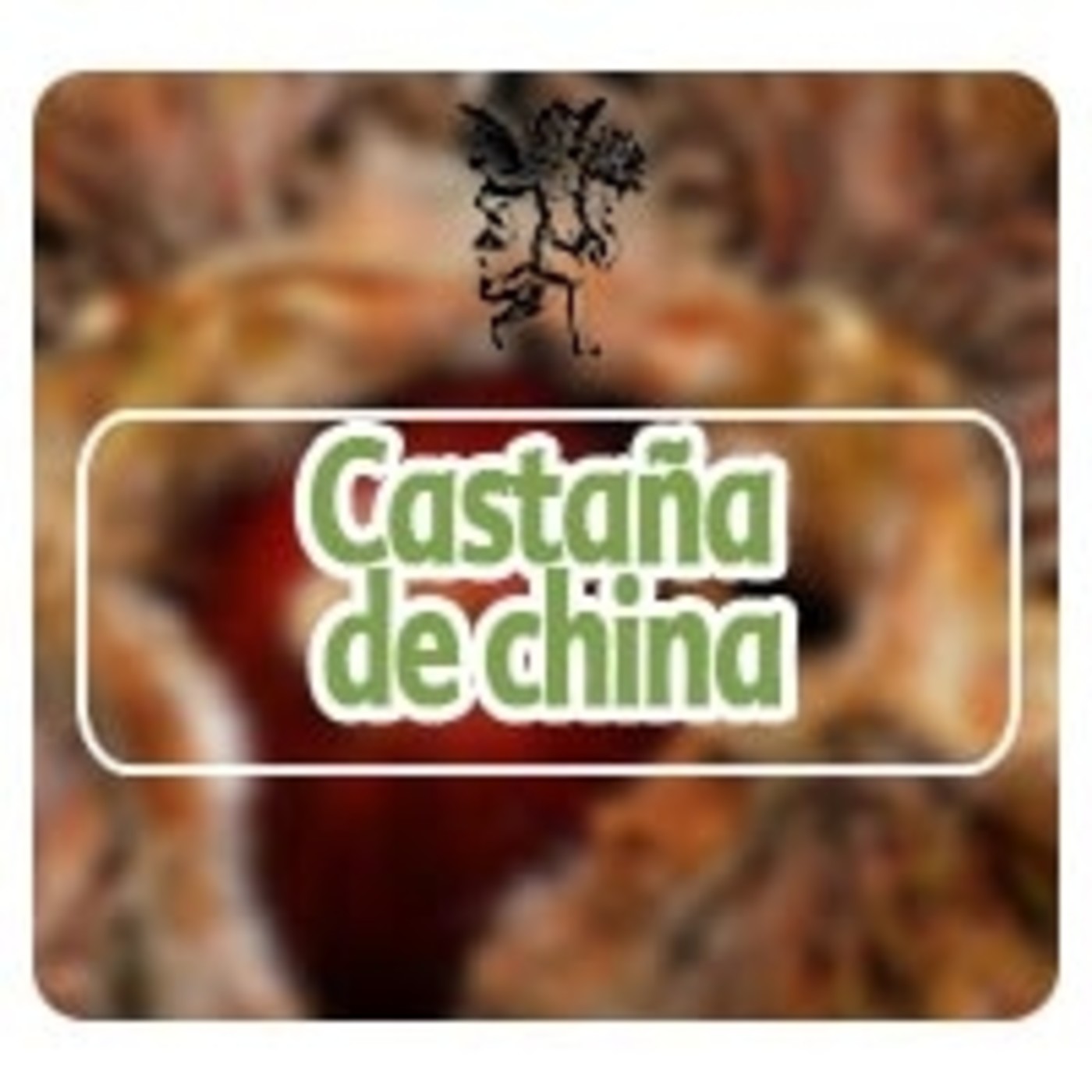 El Angel de tu Salud - CASTAÑA DE CHINA episode artwork