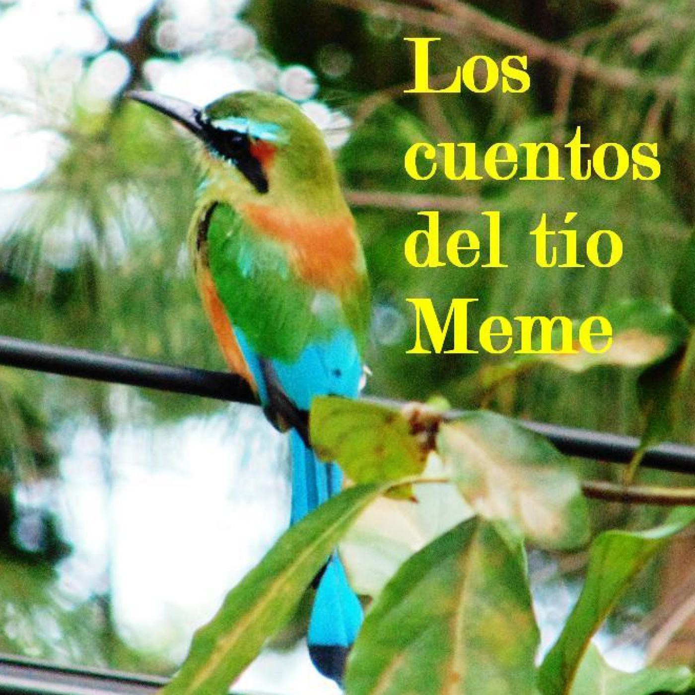 LOS CUENTOS DEL TÍO MEME