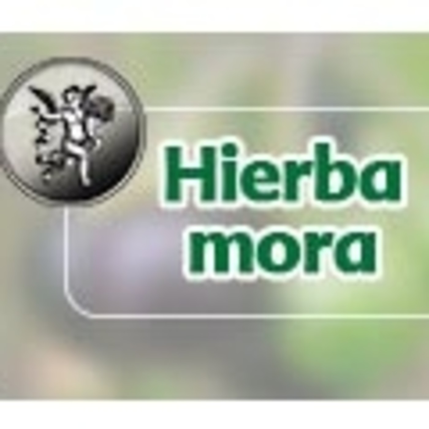 El Angel de tu Salud - HIERBA MORA*