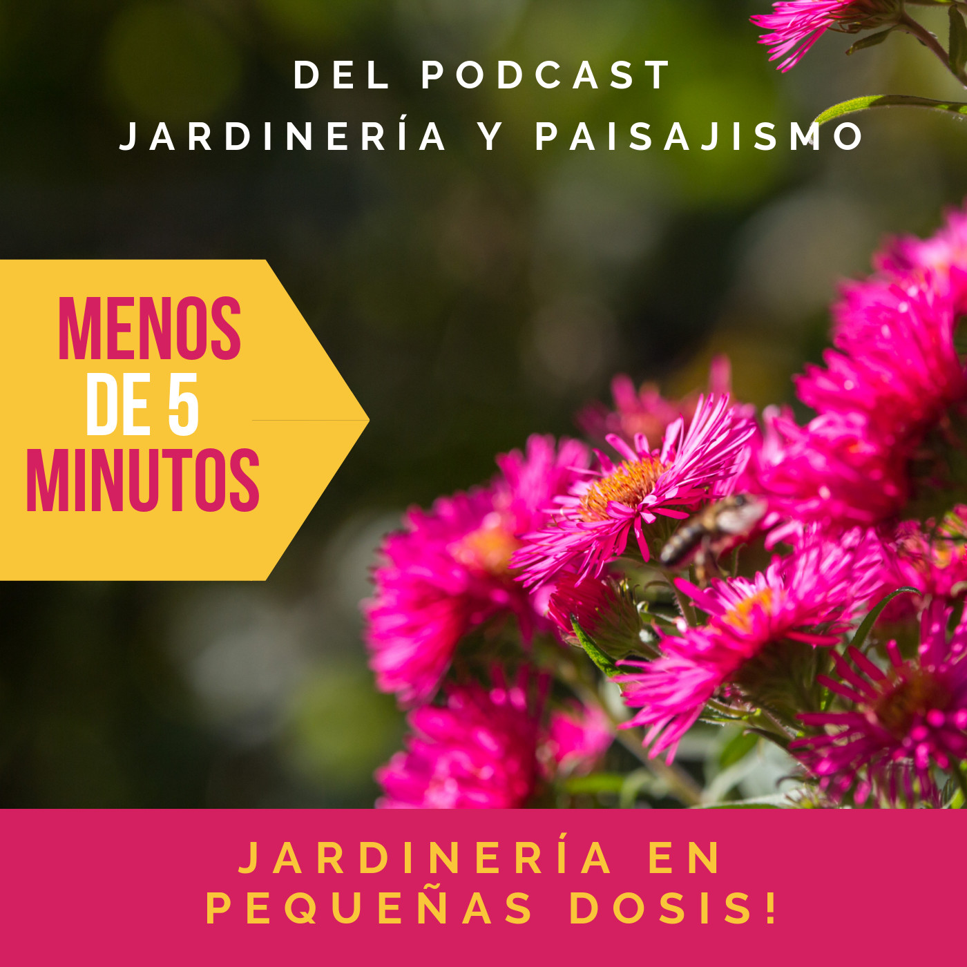 # 34 - Qué es la poda topiaria u ornamental episode artwork