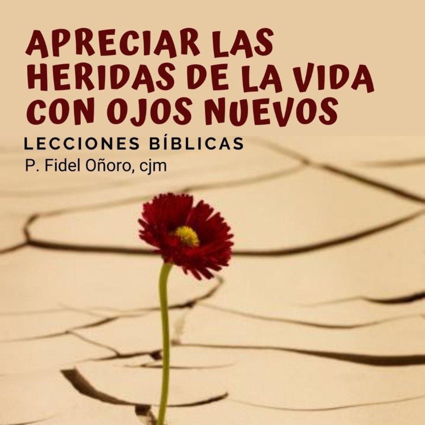 Escuela bíblica