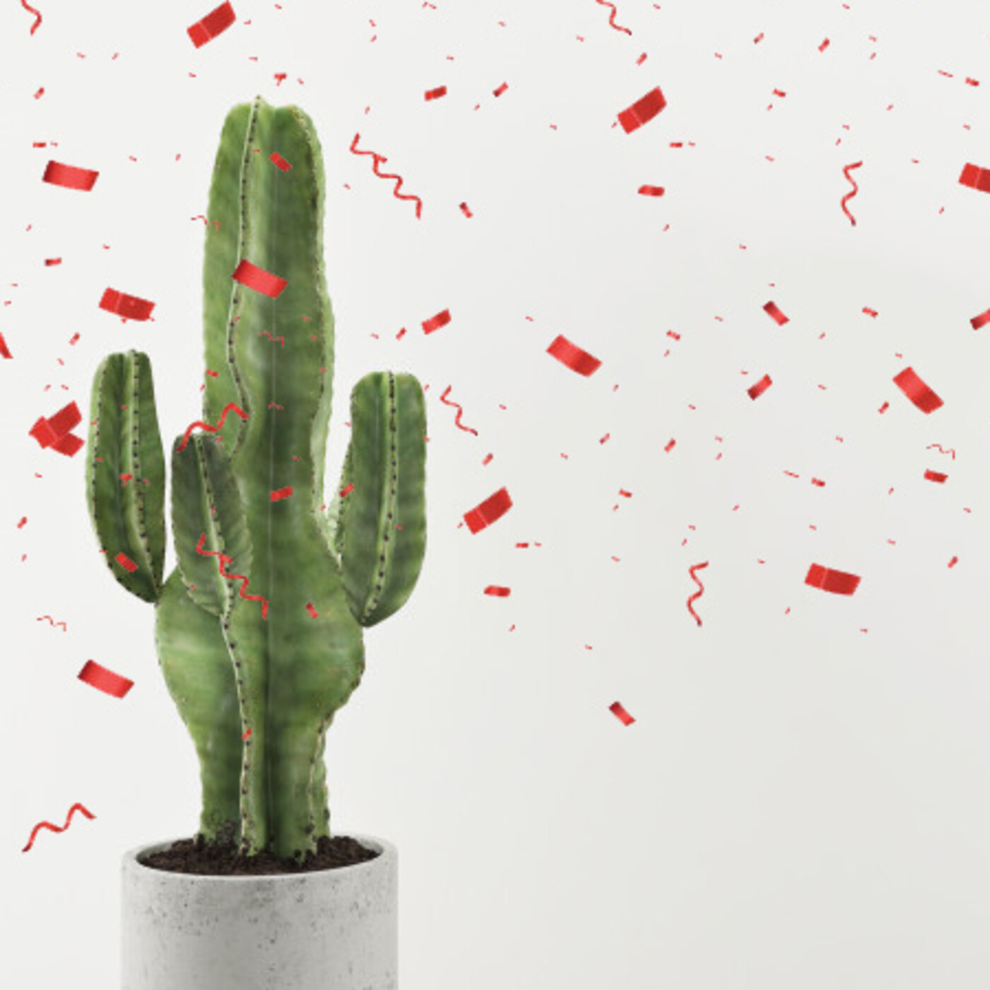 Cactus Confetti