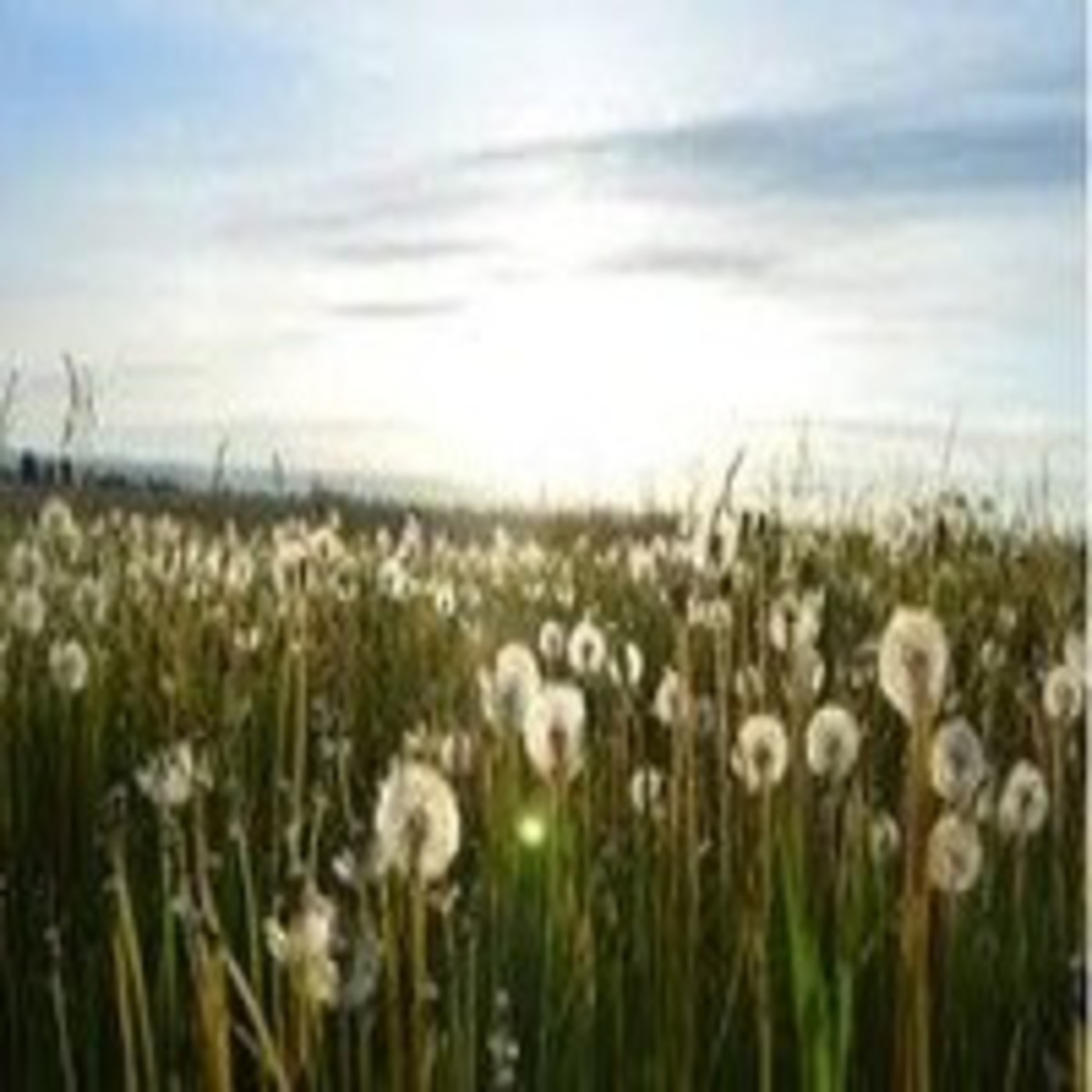 Podcast Bio Al Andalus