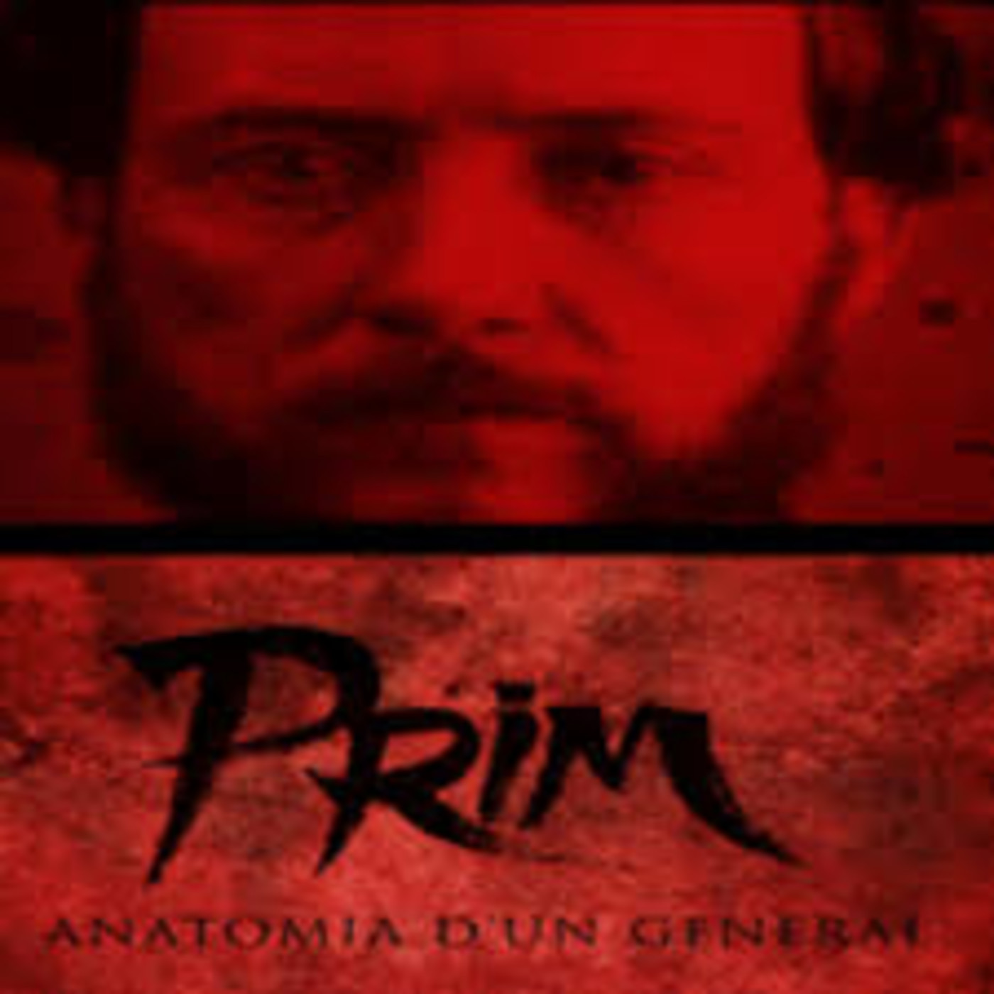 DocuAudio