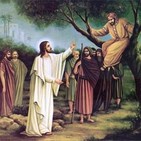 Luis Tobajas: Guía de Tierra Santa