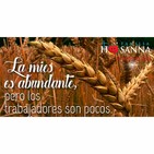Padre John- Reflexión evangelio madrugada del 09 de Julio de 2019