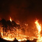 La Palma inicia la campaña contra incendios, el comportamiento ciudadano, imprescindible.