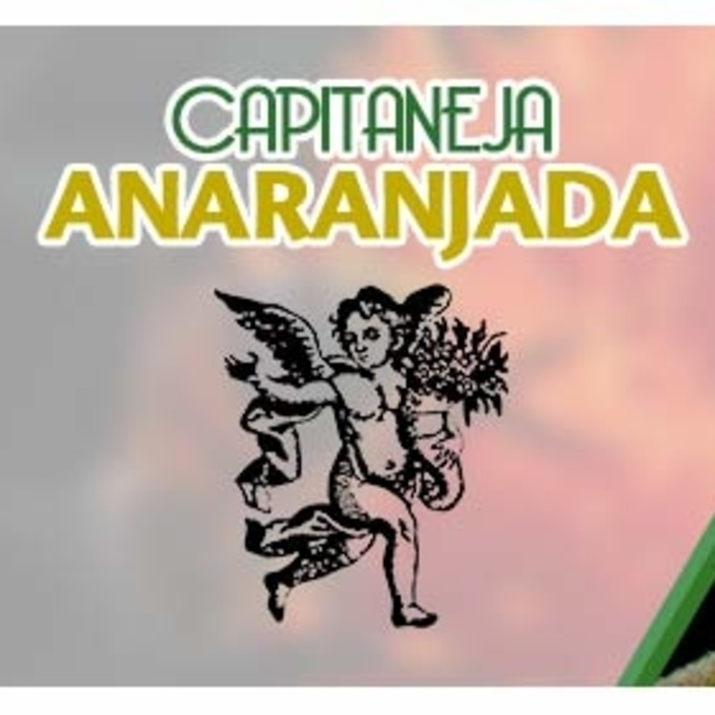 El Ángel de tu Salud - CAPITANEJA ANARANJADA* episode artwork