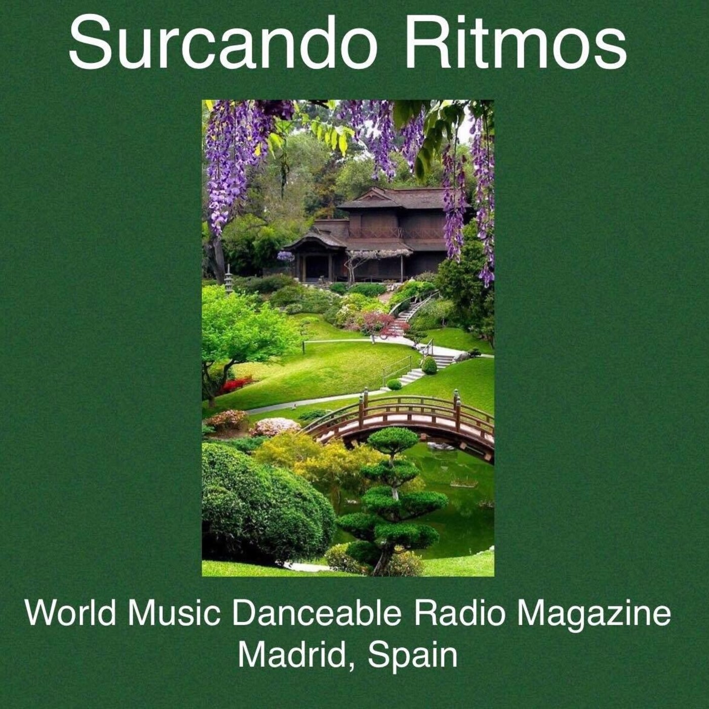 Surcando Ritmos